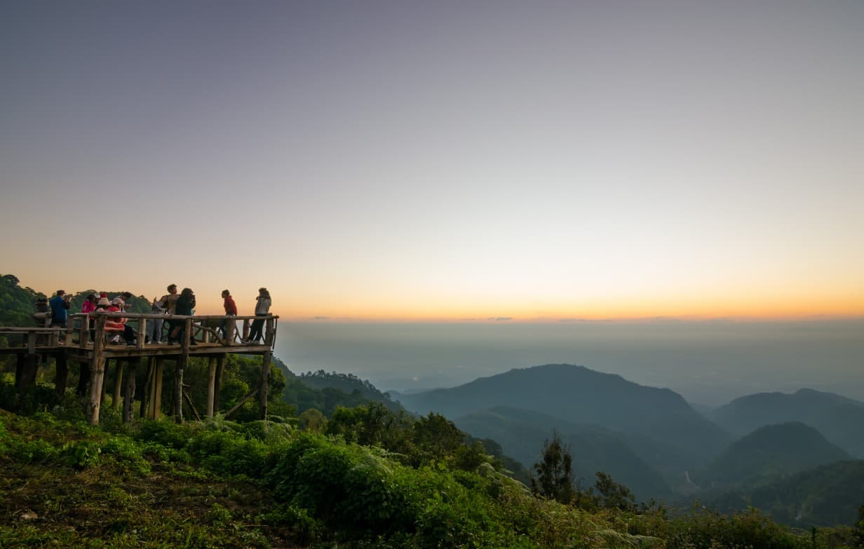 Fang