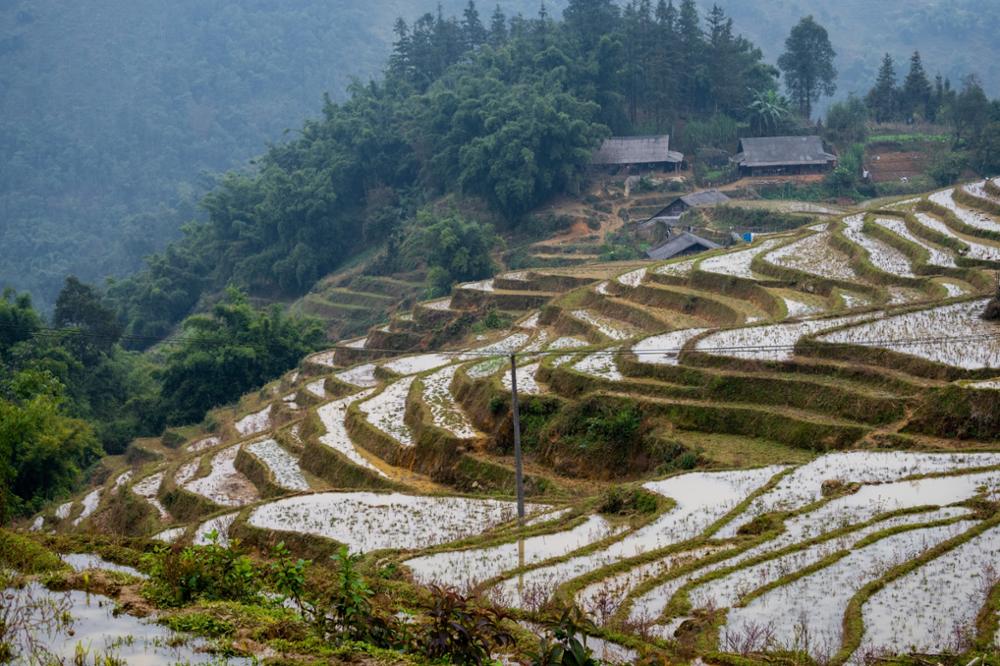Randonnée dans les rizières de Sapa : notre guide pratique