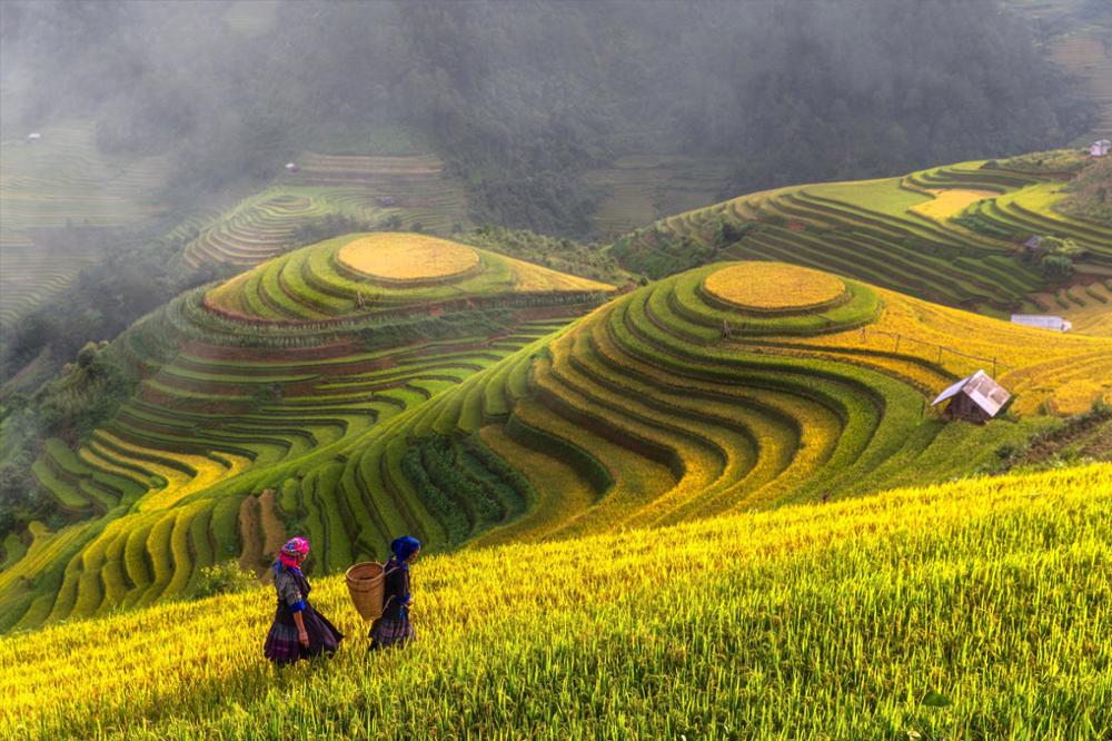 Randonnée dans les rizières de Sapa : notre guide pratique