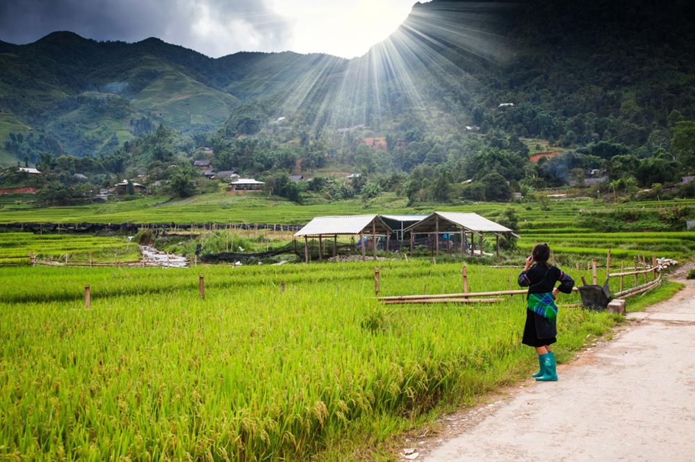 Randonnée dans les rizières de Sapa : notre guide pratique